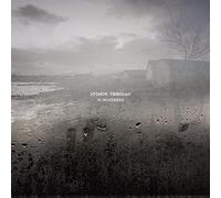 Joshua Trinidad - In November [VINYL]