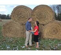 Josiah Pops The Question