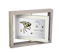 JOSON Rotating Photo Frame, Antique Rotating DIY Desktop Floating Photo Frame (4x6) (grey)