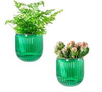 Josteve Self Watering Plant Pots Indoor, 10.8cm 2 Pack Plastic Flower Pots Orchid Garden Planters Outdoor for Herb, House Plant, African Violets, Visible Water Level Planter with Drainage Holes