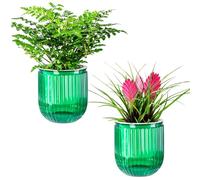 Josteve Self Watering Plant Pots Indoor, 11.8cm 2 Pack Plastic Flower Pots Orchid Garden Planters Outdoor for Herb, House Plant, African Violets, Visible Water Level Planter with Drainage Holes