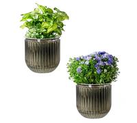 Josteve Self Watering Plant Pots Indoor, 13.5cm 2 Pack Plastic Flower Pots Orchid Garden Planters Outdoor for Herb, House Plant, African Violets, Visible Water Level Planter with Drainage Holes