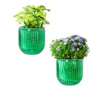 Josteve Self Watering Plant Pots Indoor, 13.5cm 2 Pack Plastic Flower Pots Orchid Garden Planters Outdoor for Herb, House Plant, African Violets, Visible Water Level Planter with Drainage Holes