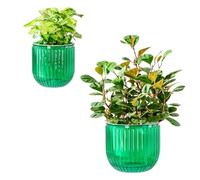 Josteve Self Watering Plant Pots Indoor, 16.5/13.5cm 2 Pack Plastic Flower Pots Orchid Garden Planters Outdoor for Herb, House Plant, African Violets, Visible Water Level Planter w/Drainage Holes
