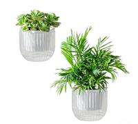 Josteve Self Watering Plant Pots Indoor, 16.5cm 2 Pack Plastic Flower Pots Orchid Garden Planters Outdoor for Herb, House Plant, African Violets, Visible Water Level Planter with Drainage Holes