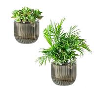 Josteve Self Watering Plant Pots Indoor, 16.5cm 2 Pack Plastic Flower Pots Orchid Garden Planters Outdoor for Herb, House Plant, African Violets, Visible Water Level Planter with Drainage Holes