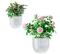 Josteve Self Watering Plant Pots Indoor, 21/13.5cm 2 Pack Plastic Flower Pots Orchid Garden Planters Outdoor for Herb, House Plant, African Violets, Visible Water Level Planter w/Drainage Holes