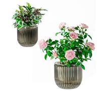 Josteve Self Watering Plant Pots Indoor, 21/13.5cm 2 Pack Plastic Flower Pots Orchid Garden Planters Outdoor for Herb, House Plant, African Violets, Visible Water Level Planter w/Drainage Holes
