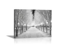 JOSUE Black And White Kitchen Wall Art Landscape Winter Canvas Wall Art Decor,Grey,white Poster Bedroom Office Kitchen Artwork Home Decoration-30x40cm Framed