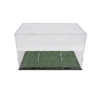 Jotekonoby Acrylic with Football Display Shell Dustproof Ball Clear for Storage Box Rugby Removable Lid Compatible with Standard Size Ba (GREEN)
