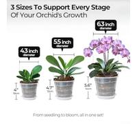 Jotekonoby Clear Orchid Pots with Saucers 6 Pack for Roots and Easy Care, Transparent Plastic Planters with Drainage Holes for Indoor and Out(4CM)