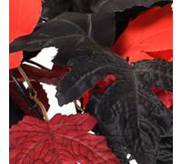 Jotekonoby Halloween Black Maple Leaf Artificial Bouquet with 7 Pieces of 30cm Silk Floral Decorations(B)
