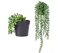 Jotekonoby Realistic Artificial Hanging Plants for Indoor Use, Faux Suspended String Plants, Green Wall Decoration for Living Room, Bedroom, Office, 12x11x11 cm(Tears of Love)