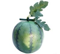 Jotekonoby Simulated Watermelon Dragon Foam Ornament for Cabinet Displays and Children's Teaching Aid - Realistic Fruit Model with Enhanced Detail