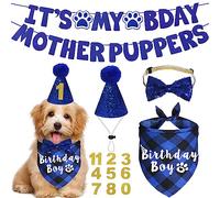 JOTFA Birthday Party Supplies - Multi Size Dog Bandanas, Hats, Bows & Numbers for Pets (Small, Blue)