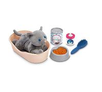 Jouets Ecoiffier - 1903 - Cat Basket - Medical - Imitation Game - Fr (US IMPORT)