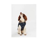 Joules Cherington Dog Coat - Large - 41 x 62 x 1cm