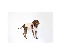 Joules Fairisle Jumper for Dogs - Large