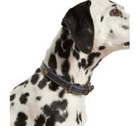 Joules Leather Dog Collar