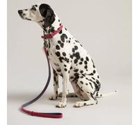 Joules Leather Dog Lead