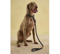 Joules Navy Leather Dog Lead Navy