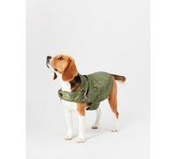 Joules Olive Bee Print Water-Resistant Dog Coat, Lightweight, Adjustable, Large