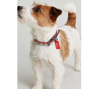 Joules Rainbow Small Stripe Dog Collar