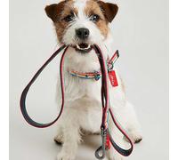 Joules Rainbow Stripe Dog Lead