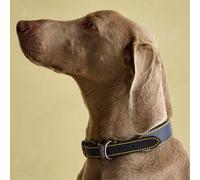 Joules Navy Leather Dog Collar - Medium