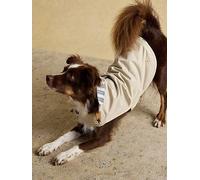 Rosewood Joules Sandshell Raincoat for Dogs, Large, Washable, Lightweight, Rain/Water-Resistant Dog Coat for Large Dogs