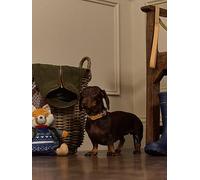 Rosewood x Joules Tan Dog Collar, Large - Durable Leather and Webbing Detail, Stylish Design with Brushed Metal Buckle, Premium Pet Accessory