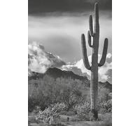 Journal - 6 x9 With Desert Cover: A 120-Page notebook for Mindful Reflection & Creative Writing