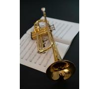 Journal: 6x9 Lined Trumpet themed softcover notebook to record your daily thoughts, insights, and experiences