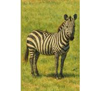 Journal, African Safari Animals, Zebra Painting 1, Hardcover, Lined, 160 Pages/80 Sheets, 5.5 x 8.5 Inches