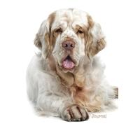 Journal: Clumber Spaniel