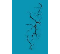 journal: let me just write that down