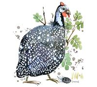 Journal: Male Guinea Fowl