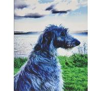 Journal: Scottish Deerhound looking out to sea