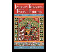 Journey Through the Twelve Forests: An Encounter with Krishna