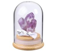 JOVIVI Amethyst Crystal in a Glass Dome Ornaments Gifts for Women Birthday,Purple Raw Amethyst Geode Cluster Drusy Crystal Spiritual Gifts for Healing Reiki Positive Energy Home Decor