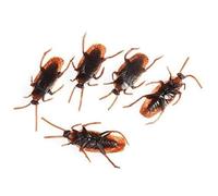 Jowxsx 10 Pcs Prank Fake Roaches Simulation Fake Rubber Cockroach Favorite Trick Joke Toys Look Real Realistic Plastic Bugs Novelty Cockroach for Party,Easter Gag Toys and Practical Jokes, Brown