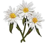 Jowxsx Daisy Flowers Metal Cutting Dies for Card Making, Cut Stencils for DIY Scrapbooking Photo Album Paper Decorative Craft for Greeting Cards Invitation Birthday Gift