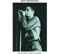 Joy Division - Love Will Tear Us Apart [VINYL]