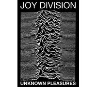 Joy Division Pleasures Pleasures Poster (24 x 36)