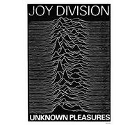 Joy Division: Unknown Pleasures (1979) | UK Import Poster [59 x 84 cm]
