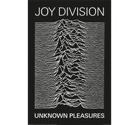 Joy Division Unknown Pleasures Poster