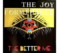 JOY FORMIDABLE - BETTER ME/DANCE OF THE (1 LP)