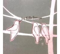 Joy Kills Sorrow
