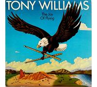Joy of Flying [VINYL]