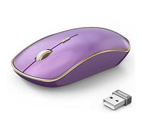 JOYACCESS J Computer Mouse Wireless, 2.4G Silent Wireless Mouse, Portable Ergonomic Wireless Mouse with 5 Adjustable DPI Levels, Cordless Mouse for Desktop, Notebook, PC, Laptop (Purple)